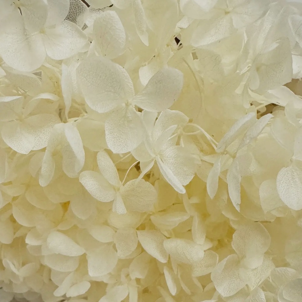 Dried Hydrangeas Bouquet